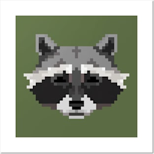 Pixel Raccoon Posters and Art